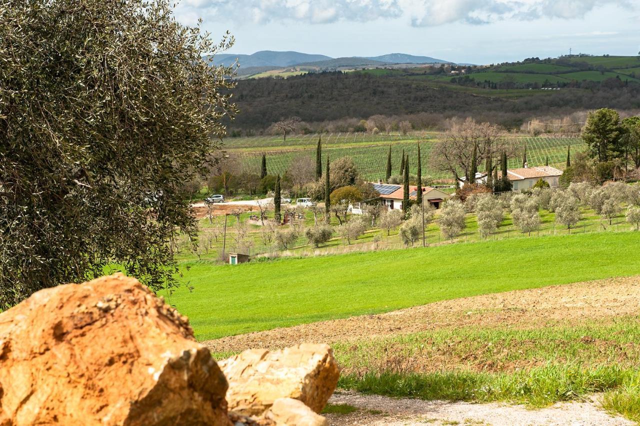 Artemisia Negli Ulivi B&B Magliano in Toscana Ngoại thất bức ảnh