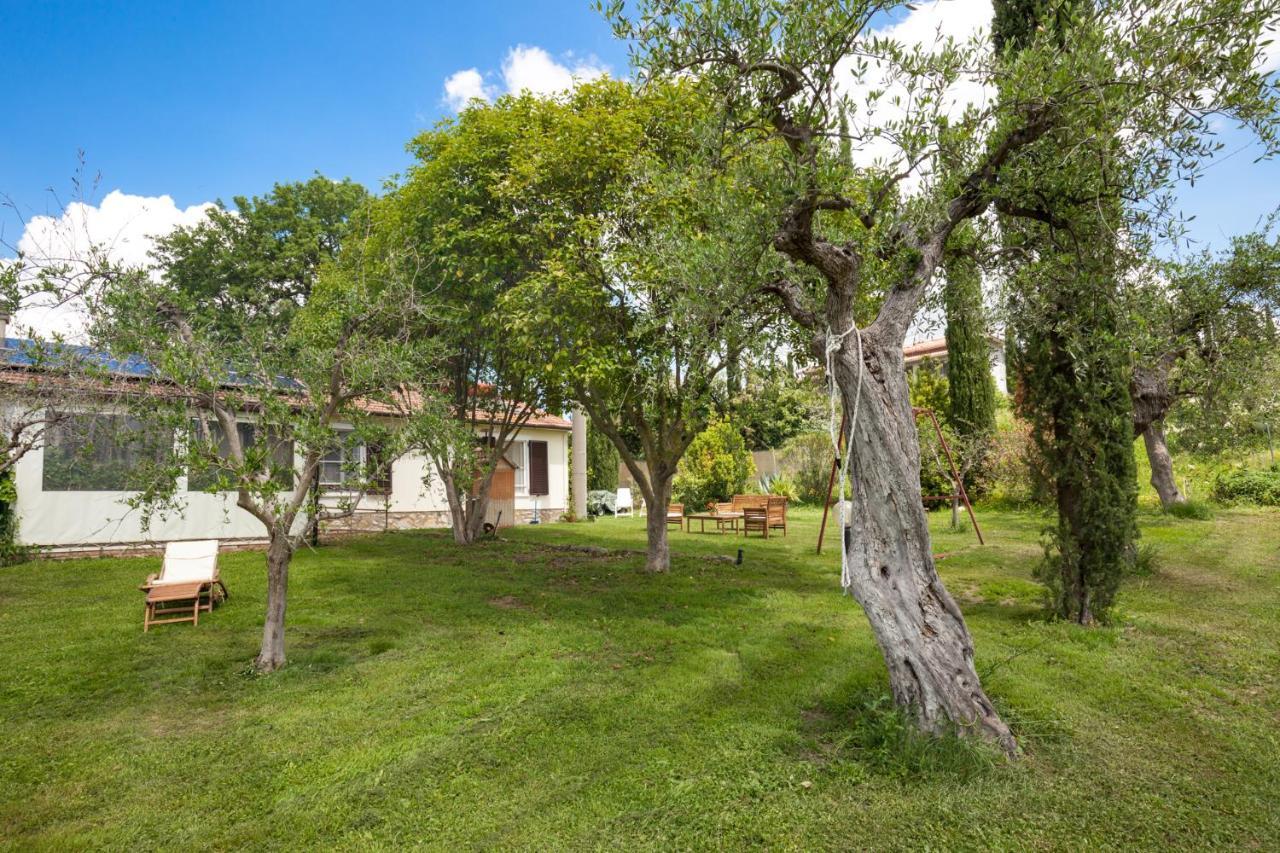 Artemisia Negli Ulivi B&B Magliano in Toscana Ngoại thất bức ảnh