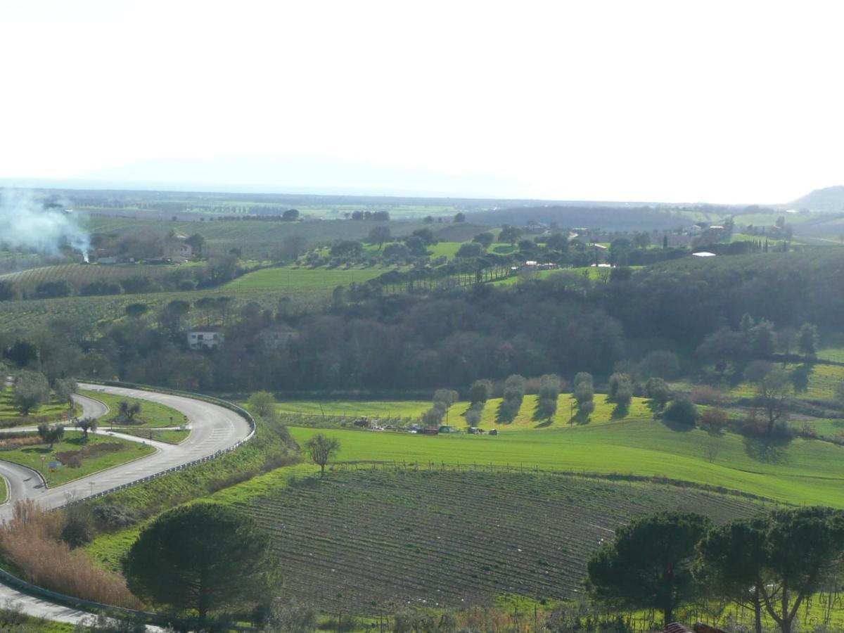 Artemisia Negli Ulivi B&B Magliano in Toscana Ngoại thất bức ảnh