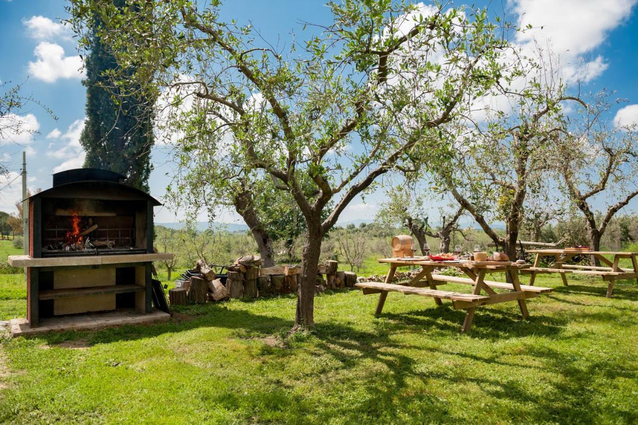 Artemisia Negli Ulivi B&B Magliano in Toscana Ngoại thất bức ảnh