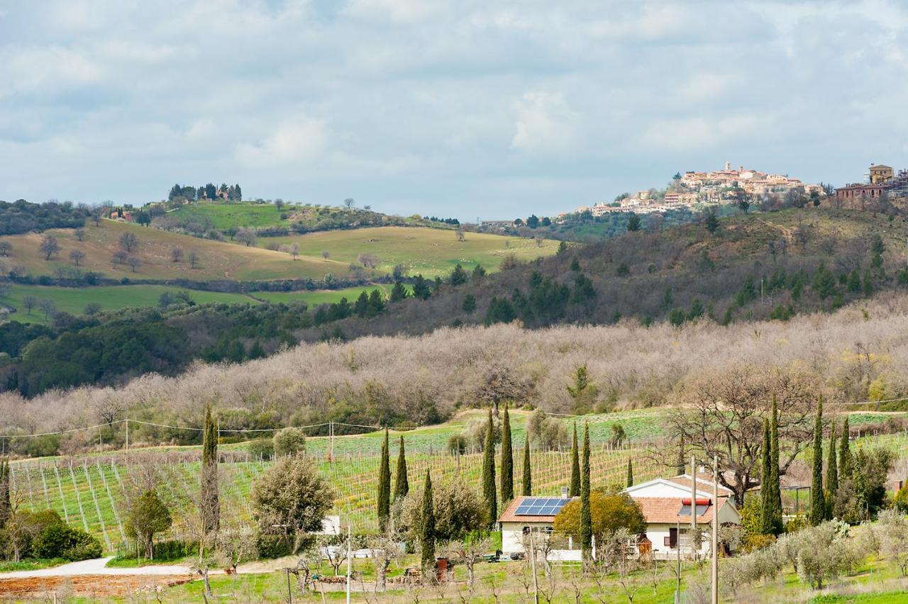 Artemisia Negli Ulivi B&B Magliano in Toscana Ngoại thất bức ảnh