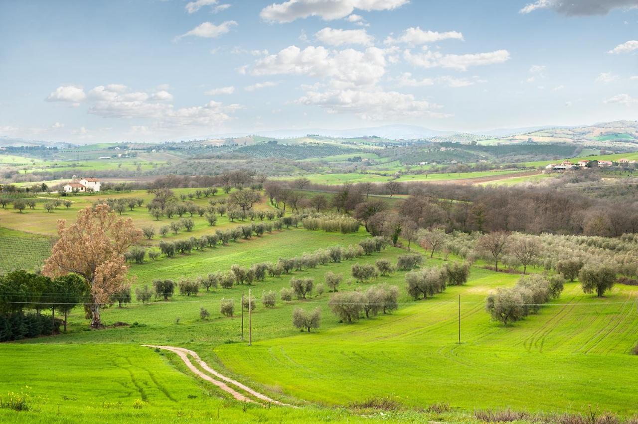 Artemisia Negli Ulivi B&B Magliano in Toscana Ngoại thất bức ảnh