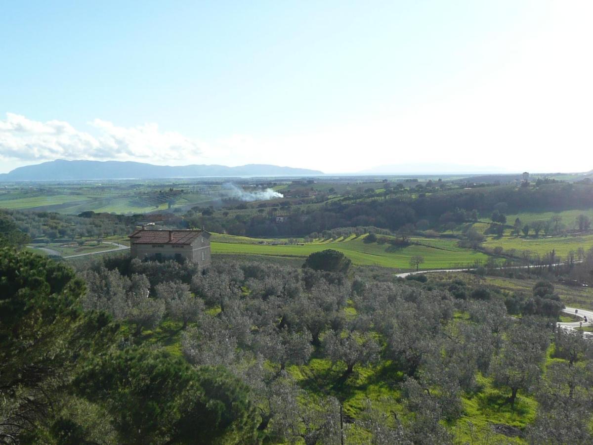 Artemisia Negli Ulivi B&B Magliano in Toscana Ngoại thất bức ảnh