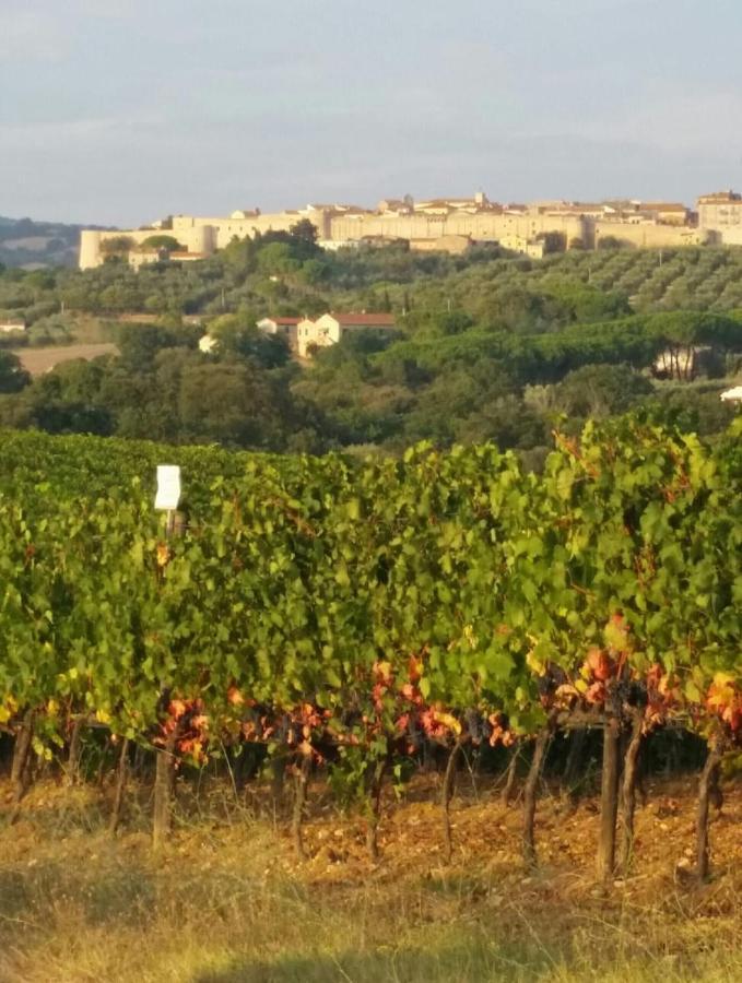 Artemisia Negli Ulivi B&B Magliano in Toscana Ngoại thất bức ảnh