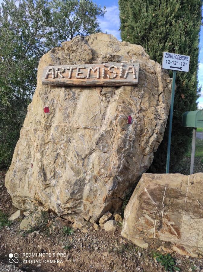 Artemisia Negli Ulivi B&B Magliano in Toscana Ngoại thất bức ảnh
