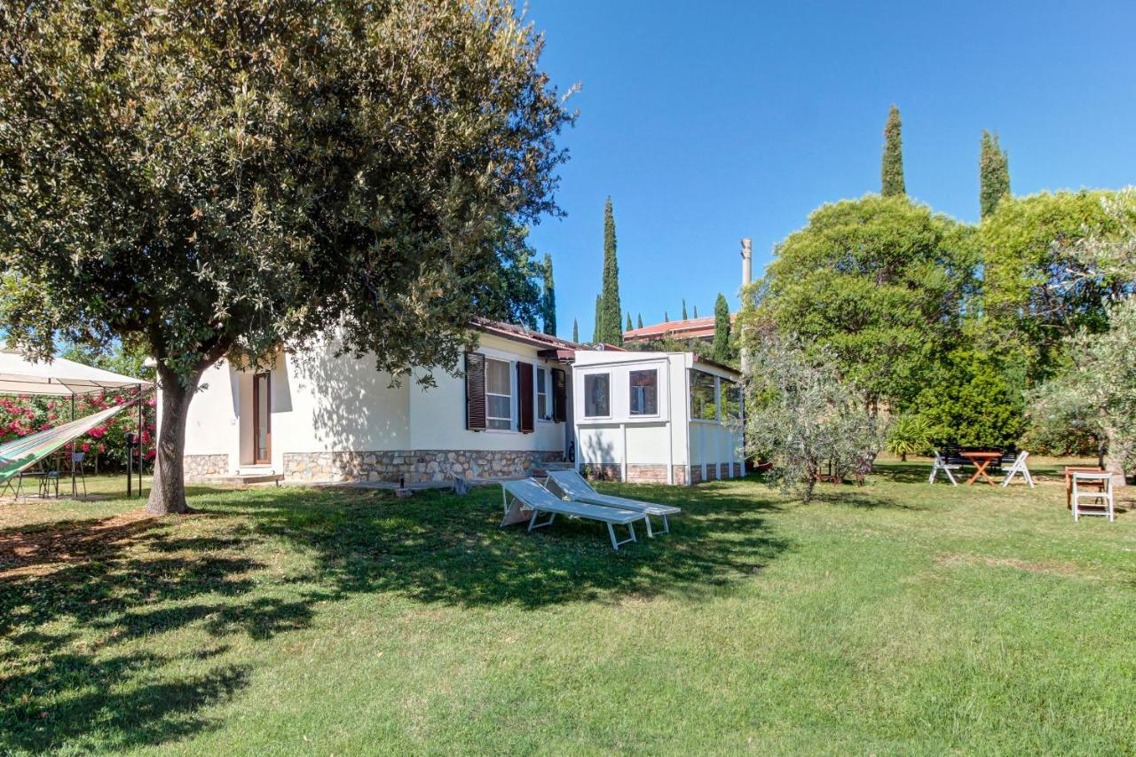 Artemisia Negli Ulivi B&B Magliano in Toscana Ngoại thất bức ảnh