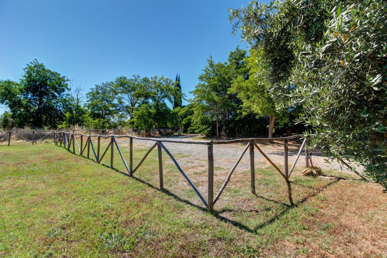 Artemisia Negli Ulivi B&B Magliano in Toscana Ngoại thất bức ảnh