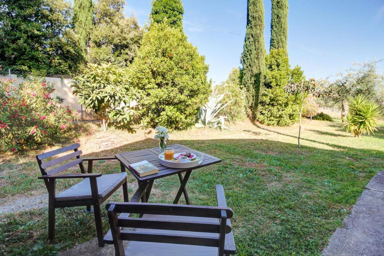 Artemisia Negli Ulivi B&B Magliano in Toscana Ngoại thất bức ảnh