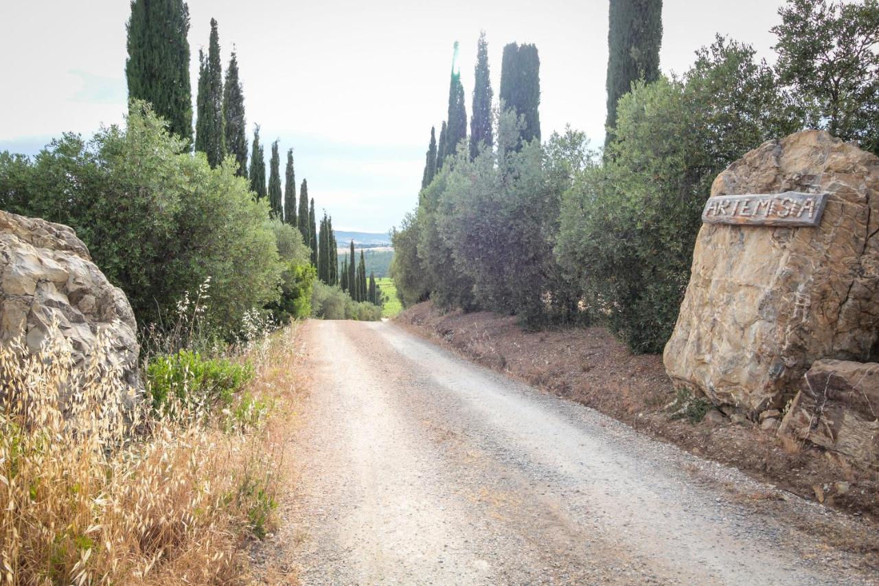 Artemisia Negli Ulivi B&B Magliano in Toscana Ngoại thất bức ảnh