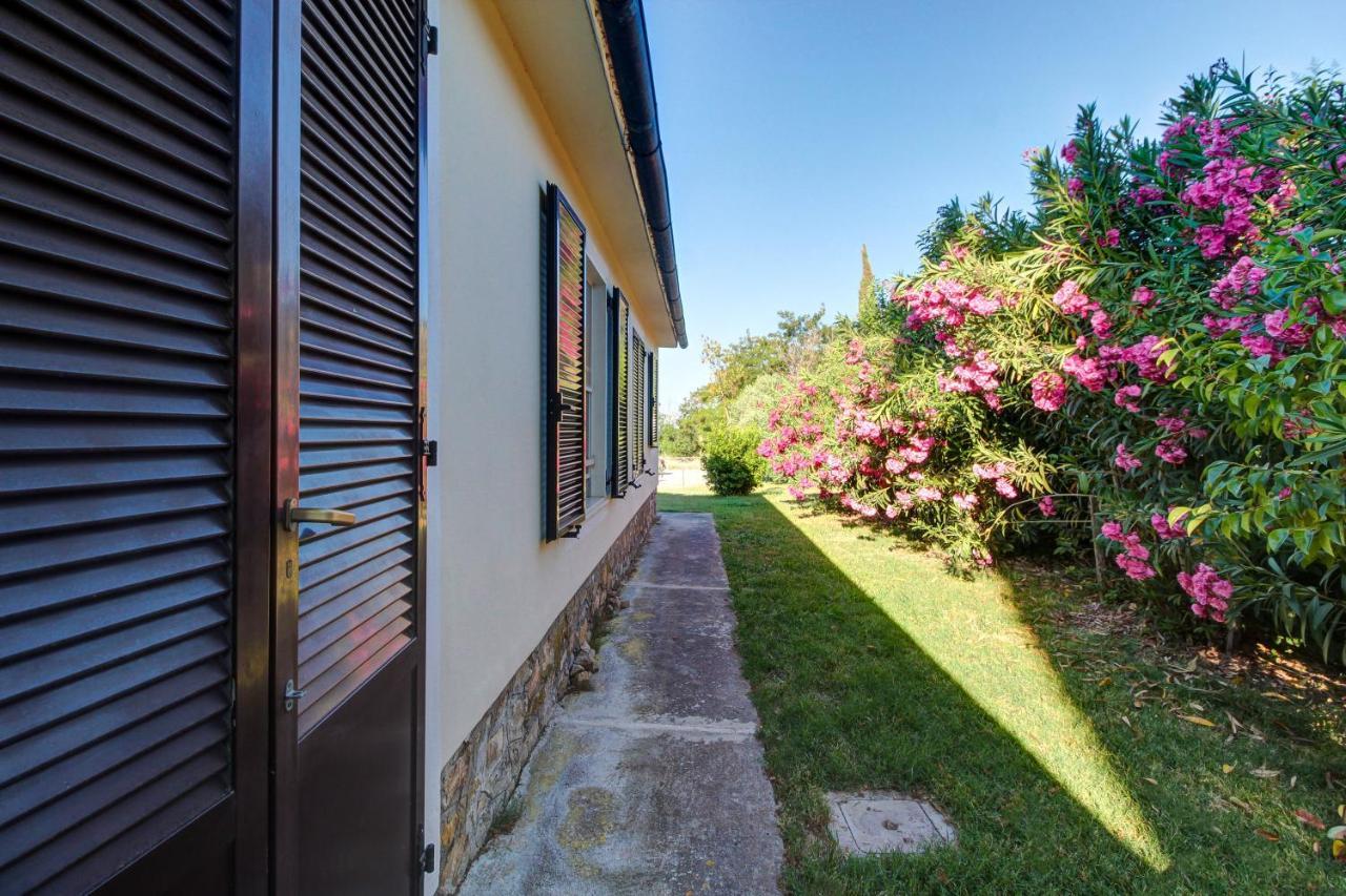 Artemisia Negli Ulivi B&B Magliano in Toscana Ngoại thất bức ảnh