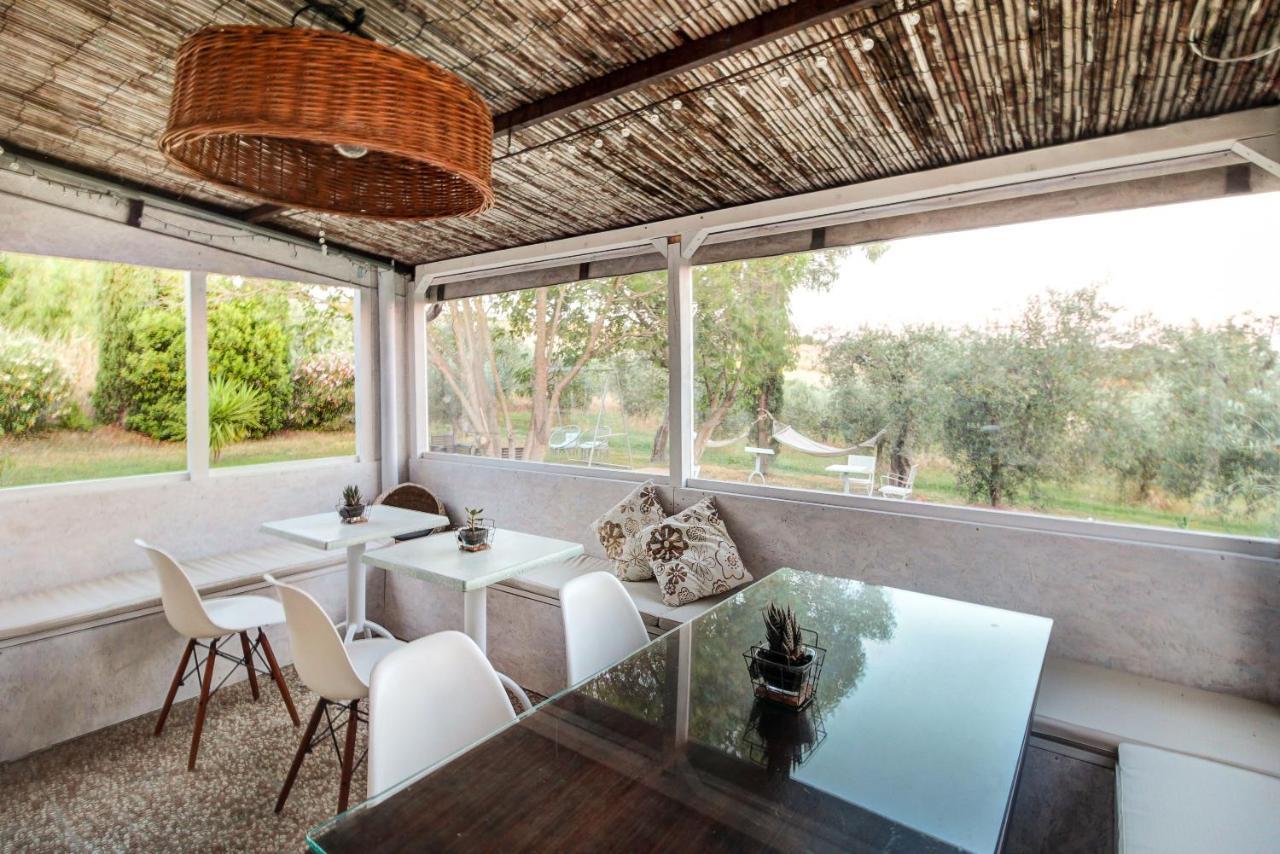 Artemisia Negli Ulivi B&B Magliano in Toscana Ngoại thất bức ảnh