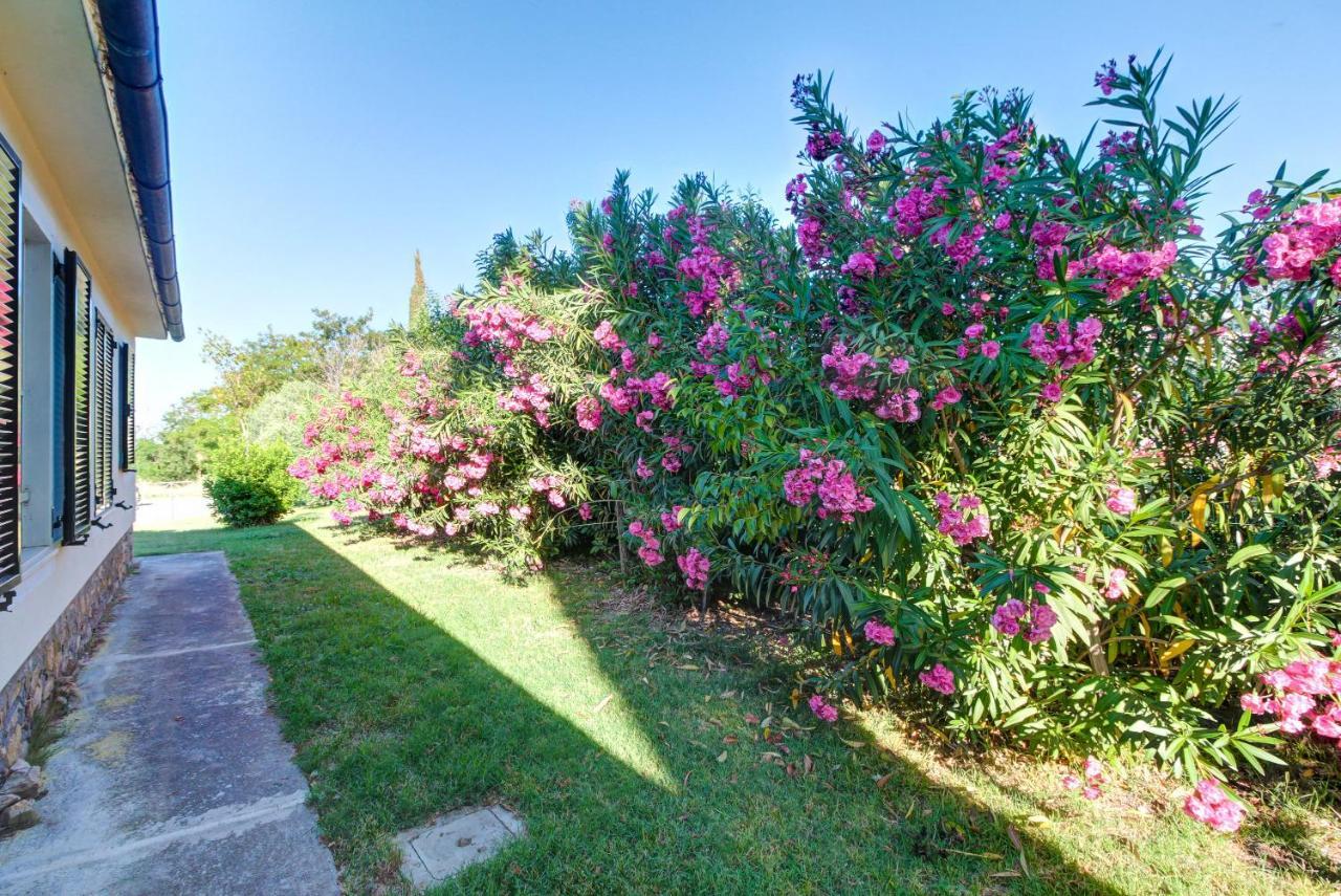 Artemisia Negli Ulivi B&B Magliano in Toscana Ngoại thất bức ảnh